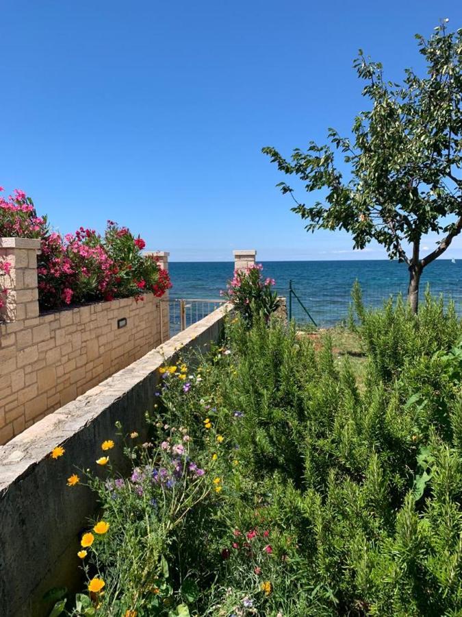 Charming Stone Cottage By The Sea 乌马格 外观 照片